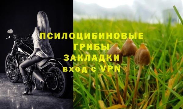 первитин Алзамай