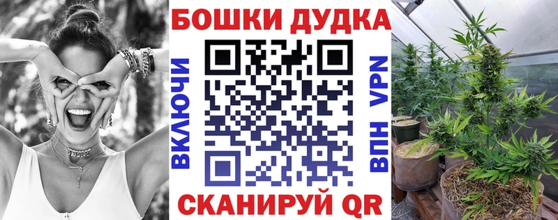 Шишки марихуана гибрид  наркошоп  Тверь 